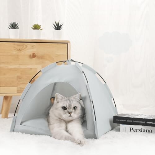 Tente Chat - CatTentBed™ - Gris Cyan - Doux Chat