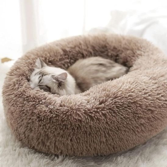 Coussin chat | Halo - Doux Chat