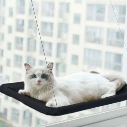 Hamac Chat - PetCatHangingBed™ - Noir - Doux Chat