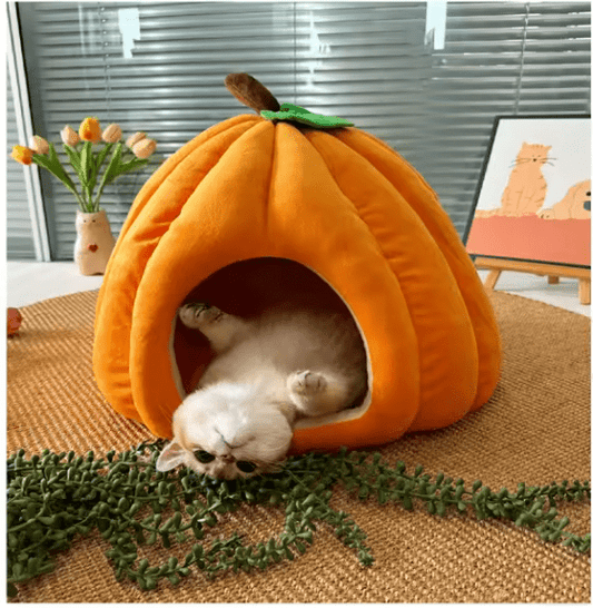 Niche pour chat | Potiron - Doux Chat