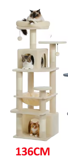 Arbre à chat | Oasis