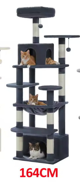 Arbre à chat | Oasis