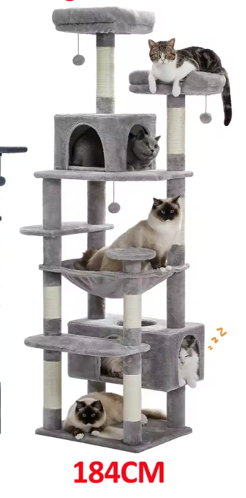 Arbre à chat | Oasis