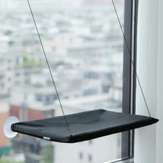 Hamac Chat - PetCatHangingBed™ - Noir - Doux Chat