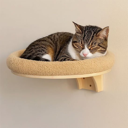 Arbre a Chat mural | Sora - Doux Chat