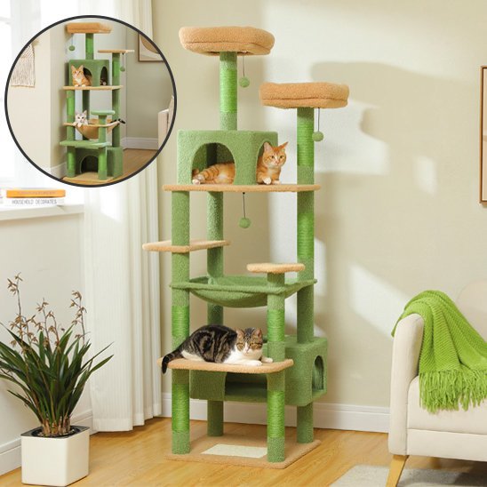 Arbre à chat | Féliconfort - Doux Chat