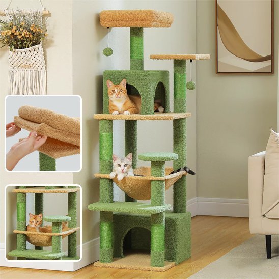 Arbre à chat | Féliconfort - Doux Chat