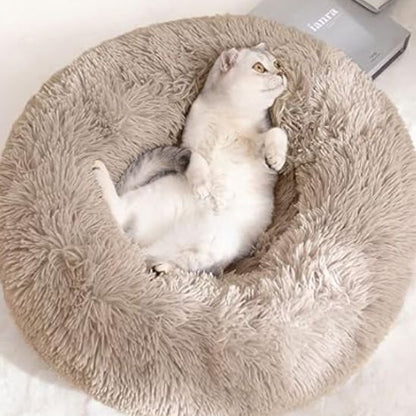 Coussin chat | Halo - Doux Chat