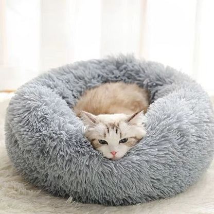 Coussin chat | Halo - Doux Chat
