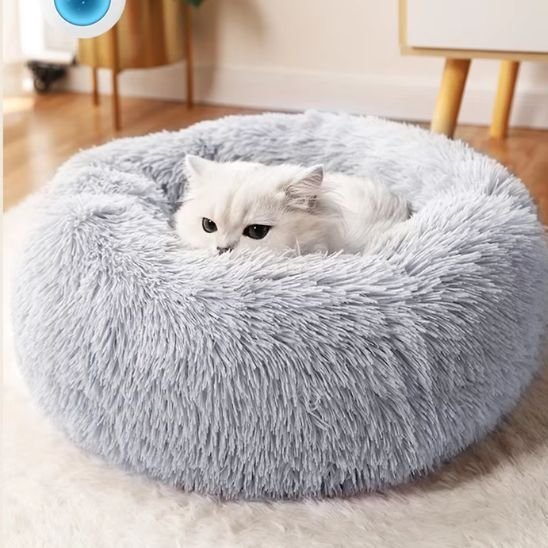 Coussin chat | Halo - Doux Chat