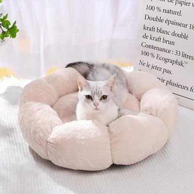 Coussin pour chat | Bloom - Doux Chat