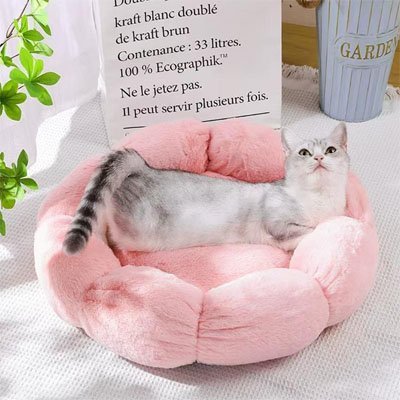 Coussin pour chat | Bloom - Doux Chat