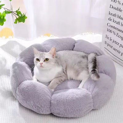 Coussin pour chat | Bloom - Doux Chat