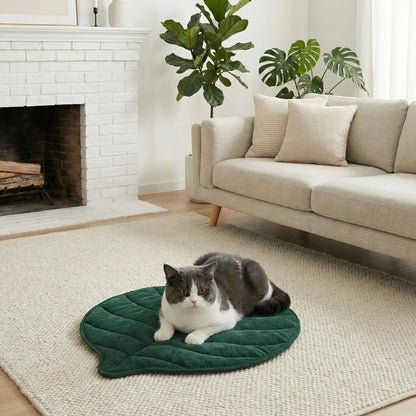Coussin Chat | Leaf - Doux Chat