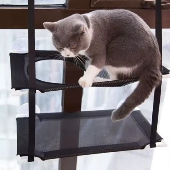 Hamac Chat Fenêtre | Vista - Doux Chat