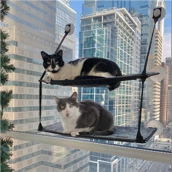 Hamac Chat Fenêtre | Vista - Doux Chat