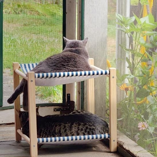 Hamac pour chat | Belvédère - Doux Chat