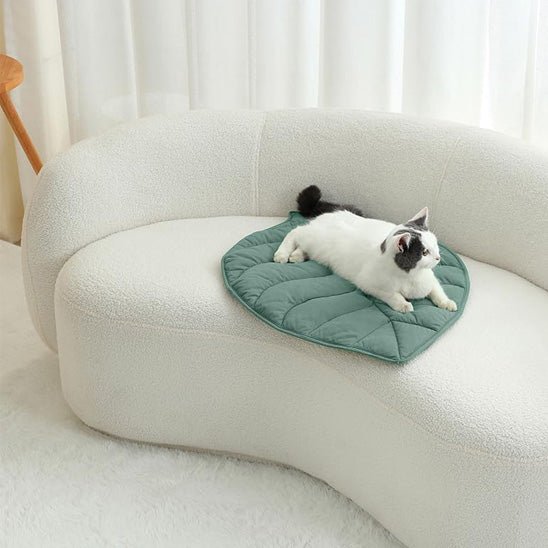 Coussin Chat | Leaf - Doux Chat