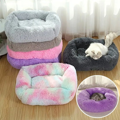 panier chat/lumina - Doux Chat